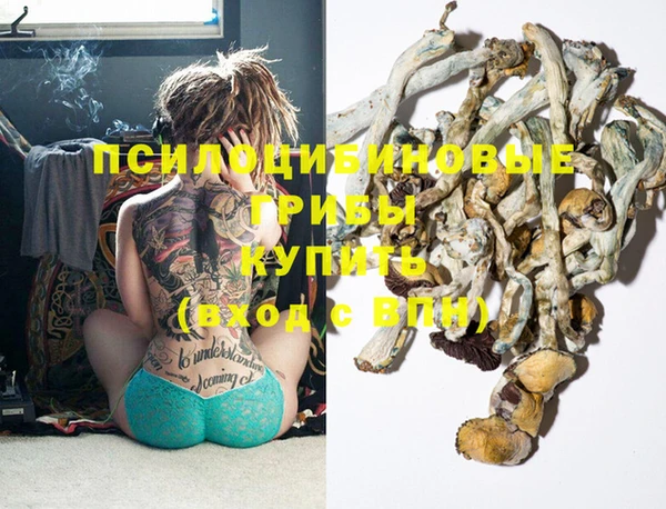 трава Болхов