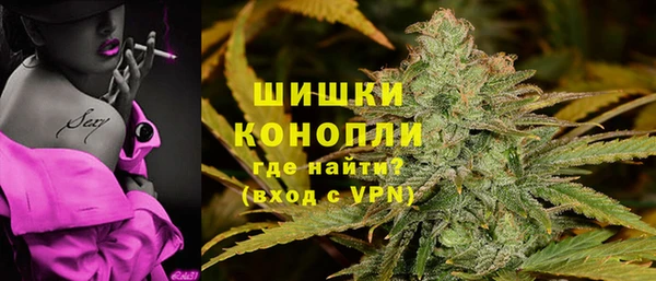 мдпв Болотное