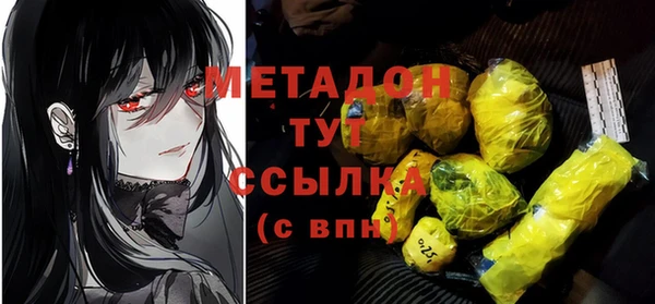 мдпв Болотное