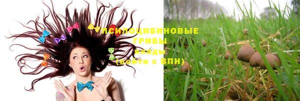 экстази Болохово