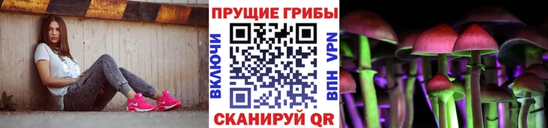 Псилоцибиновые грибы Cubensis Тавда